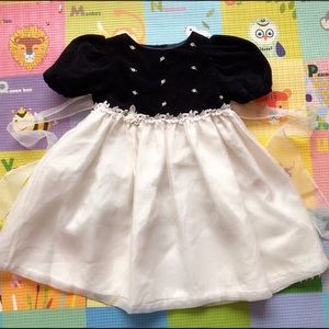 girls velvet Embroidery dress